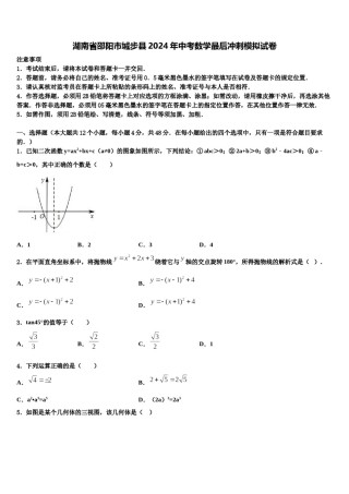 湖南省邵阳市城步县2024年中考数学最后冲刺模拟试卷含解析.doc