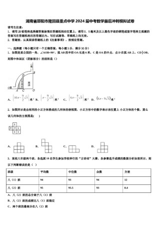 湖南省邵阳市隆回县重点中学2024届中考数学最后冲刺模拟试卷含解析.doc