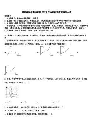 湖南省郴州市临武县2024年中考数学考前最后一卷含解析.doc