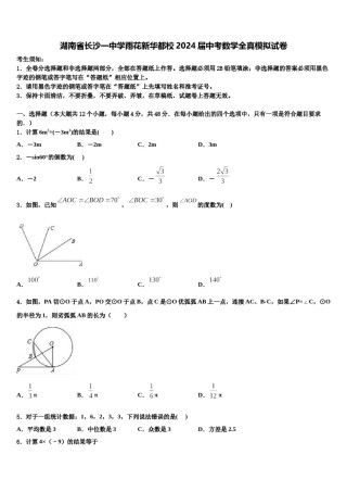 湖南省长沙一中学雨花新华都校2024届中考数学全真模拟试卷含解析.doc