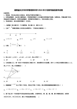 湖南省长沙市中学雅培粹中学2024年十校联考最后数学试题含解析.doc