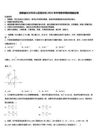 湖南省长沙市天心区部分校2024年中考数学模拟精编试卷含解析.doc