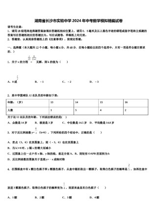 湖南省长沙市实验中学2024年中考数学模拟精编试卷含解析.doc