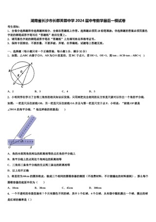 湖南省长沙市长郡芙蓉中学2024届中考数学最后一模试卷含解析.doc