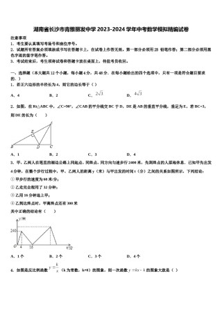 湖南省长沙市青雅丽发中学2023-2024学年中考数学模拟精编试卷含解析.doc
