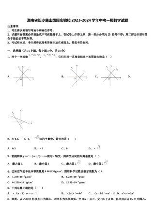 湖南省长沙麓山国际实验校2023-2024学年中考一模数学试题含解析.doc
