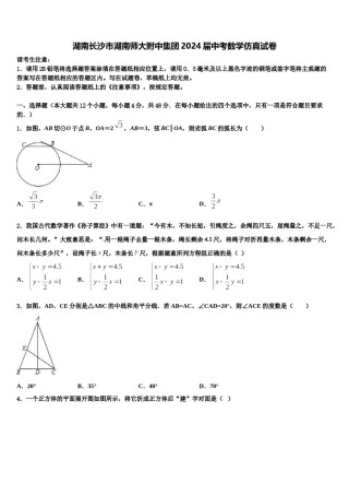湖南长沙市湖南师大附中集团2024届中考数学仿真试卷含解析.doc