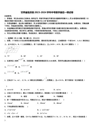 甘肃省临泽县2023-2024学年中考数学最后一模试卷含解析.doc