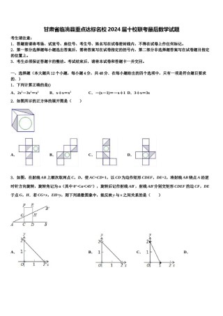 甘肃省临洮县重点达标名校2024届十校联考最后数学试题含解析.doc