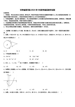 甘肃省夏河县2024年十校联考最后数学试题含解析.doc