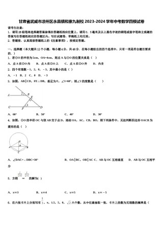 甘肃省武威市凉州区永昌镇和寨九制校2023-2024学年中考数学四模试卷含解析.doc