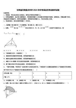 甘肃省甘南重点中学2024年中考适应性考试数学试题含解析.doc