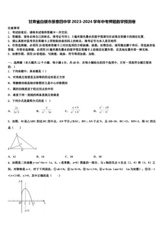 甘肃省白银市景泰四中学2023-2024学年中考押题数学预测卷含解析.doc