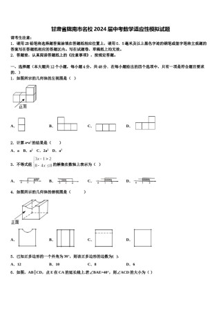 甘肃省陇南市名校2024届中考数学适应性模拟试题含解析.doc