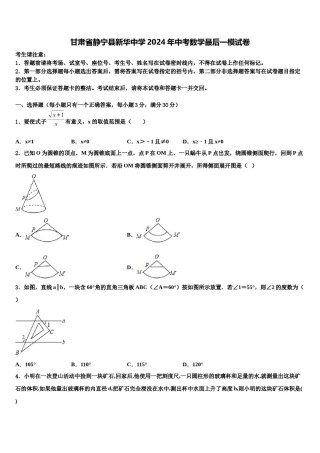 甘肃省静宁县新华中学2024年中考数学最后一模试卷含解析.doc