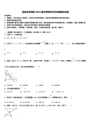 盐城市亭湖区2024届中考数学对点突破模拟试卷含解析.doc