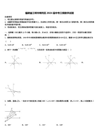 福建省三明市梅列区2024届中考三模数学试题含解析.doc