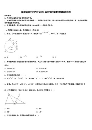 福建省厦门市四校2024年中考数学考试模拟冲刺卷含解析.doc