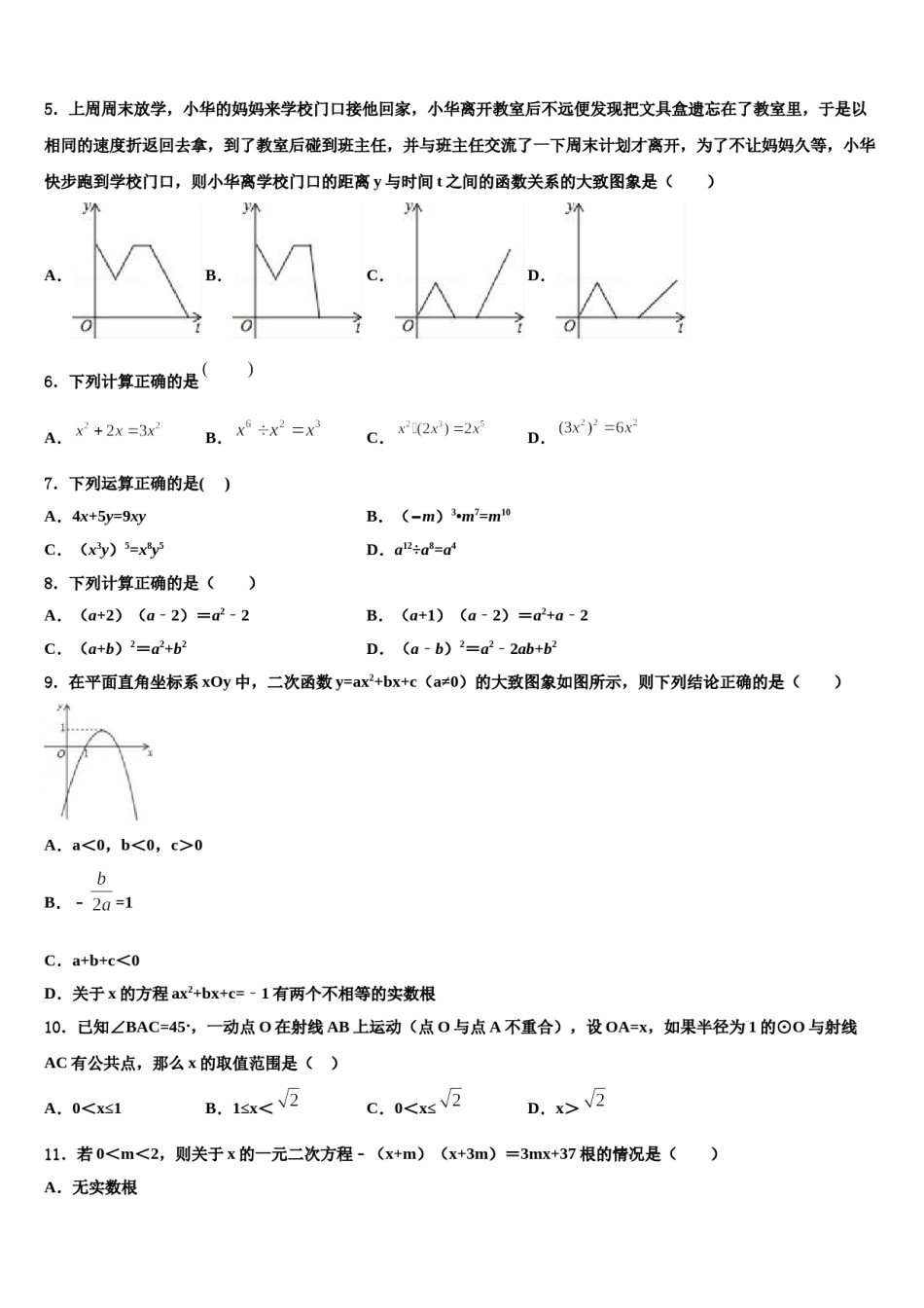 福建省厦门市瑞景外国语分校2024届中考数学对点突破模拟试卷含解析.doc_第2页