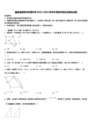 福建省莆田市哲理中学2023-2024学年中考数学适应性模拟试题含解析.doc