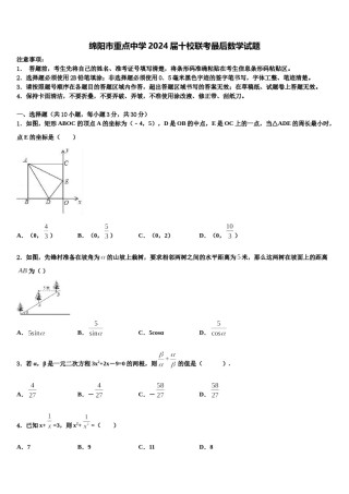 绵阳市重点中学2024届十校联考最后数学试题含解析.doc