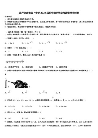 葫芦岛市老官卜中学2024届初中数学毕业考试模拟冲刺卷含解析.doc