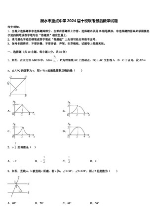 衡水市重点中学2024届十校联考最后数学试题含解析.doc
