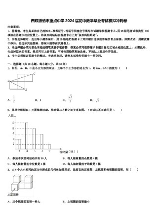西双版纳市重点中学2024届初中数学毕业考试模拟冲刺卷含解析.doc