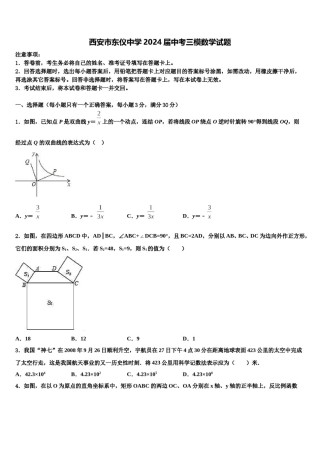 西安市东仪中学2024届中考三模数学试题含解析.doc