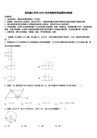 贵州省仁怀市2024年中考数学考试模拟冲刺卷含解析.doc