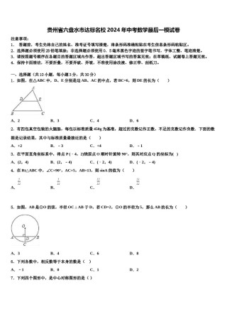 贵州省六盘水市达标名校2024年中考数学最后一模试卷含解析.doc