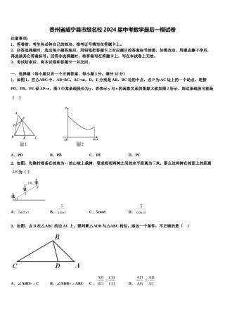 贵州省威宁县市级名校2024届中考数学最后一模试卷含解析.doc