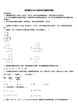 贵州都匀2024届中考三模数学试题含解析.doc