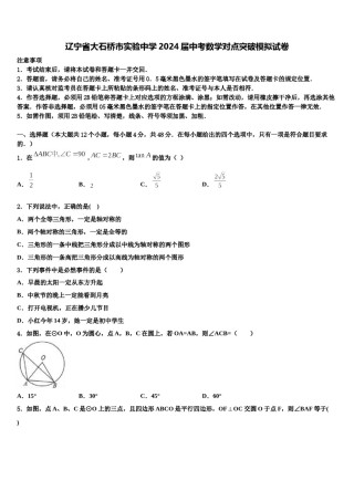 辽宁省大石桥市实验中学2024届中考数学对点突破模拟试卷含解析.doc