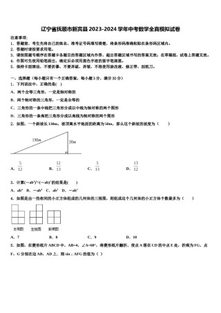 辽宁省抚顺市新宾县2023-2024学年中考数学全真模拟试卷含解析.doc