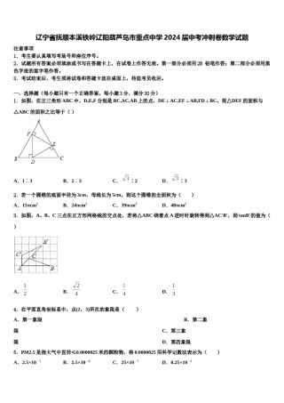 辽宁省抚顺本溪铁岭辽阳葫芦岛市重点中学2024届中考冲刺卷数学试题含解析.doc