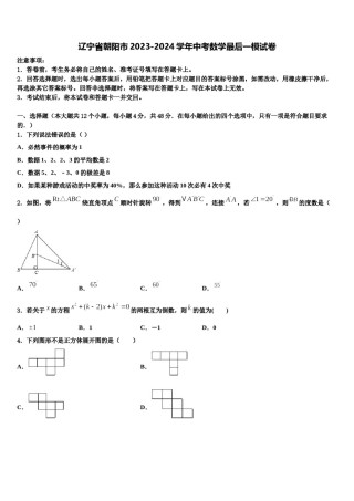 辽宁省朝阳市2023-2024学年中考数学最后一模试卷含解析.doc