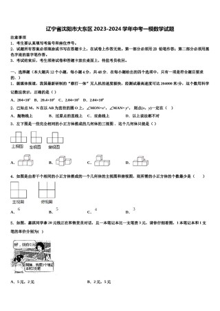 辽宁省沈阳市大东区2023-2024学年中考一模数学试题含解析.doc