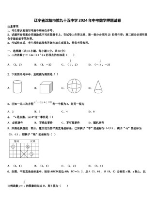 辽宁省沈阳市第九十五中学2024年中考数学押题试卷含解析.doc