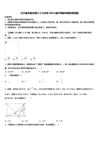 辽宁省沈阳市第八十七中学2024届中考数学模拟预测题含解析.doc