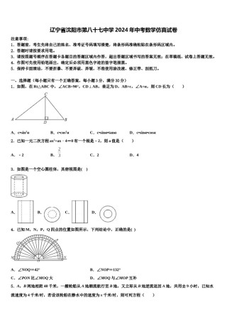 辽宁省沈阳市第八十七中学2024年中考数学仿真试卷含解析.doc