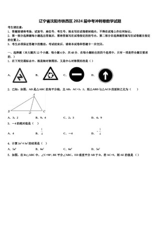 辽宁省沈阳市铁西区2024届中考冲刺卷数学试题含解析.doc