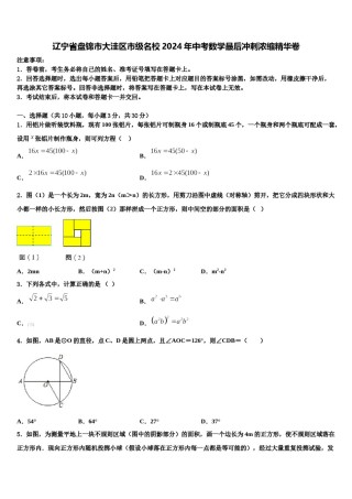 辽宁省盘锦市大洼区市级名校2024年中考数学最后冲刺浓缩精华卷含解析.doc