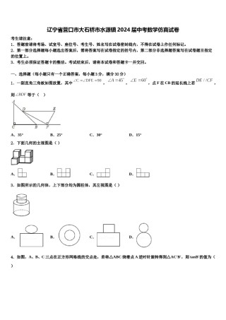 辽宁省营口市大石桥市水源镇2024届中考数学仿真试卷含解析.doc
