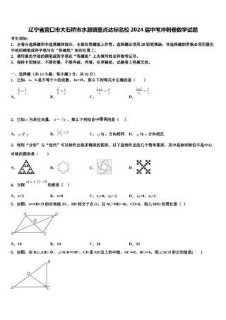 辽宁省营口市大石桥市水源镇重点达标名校2024届中考冲刺卷数学试题含解析.doc