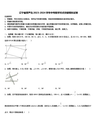 辽宁省葫芦岛2023-2024学年中考数学对点突破模拟试卷含解析.doc