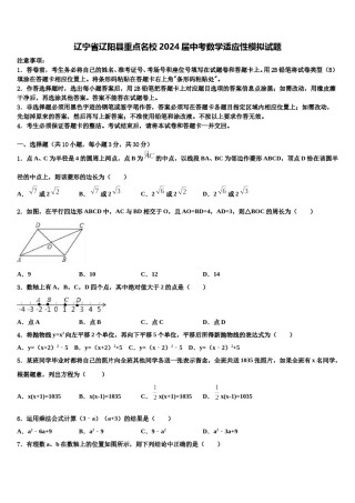 辽宁省辽阳县重点名校2024届中考数学适应性模拟试题含解析.doc