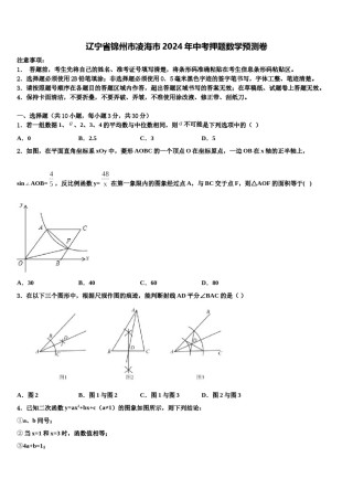 辽宁省锦州市凌海市2024年中考押题数学预测卷含解析.doc