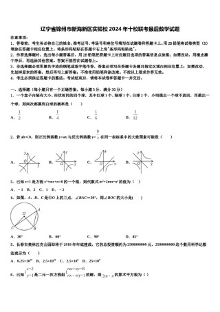 辽宁省锦州市新海新区实验校2024年十校联考最后数学试题含解析.doc