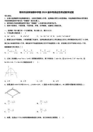 鄂州市涂家垴镇中学春2024届中考适应性考试数学试题含解析.doc
